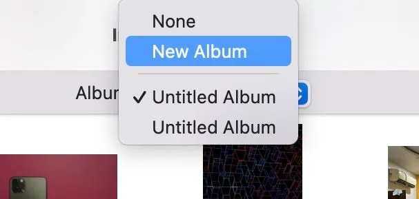 Chọn album để nhập ảnh và video từ iPhone được kết nối trong ứng dụng Mac Photos