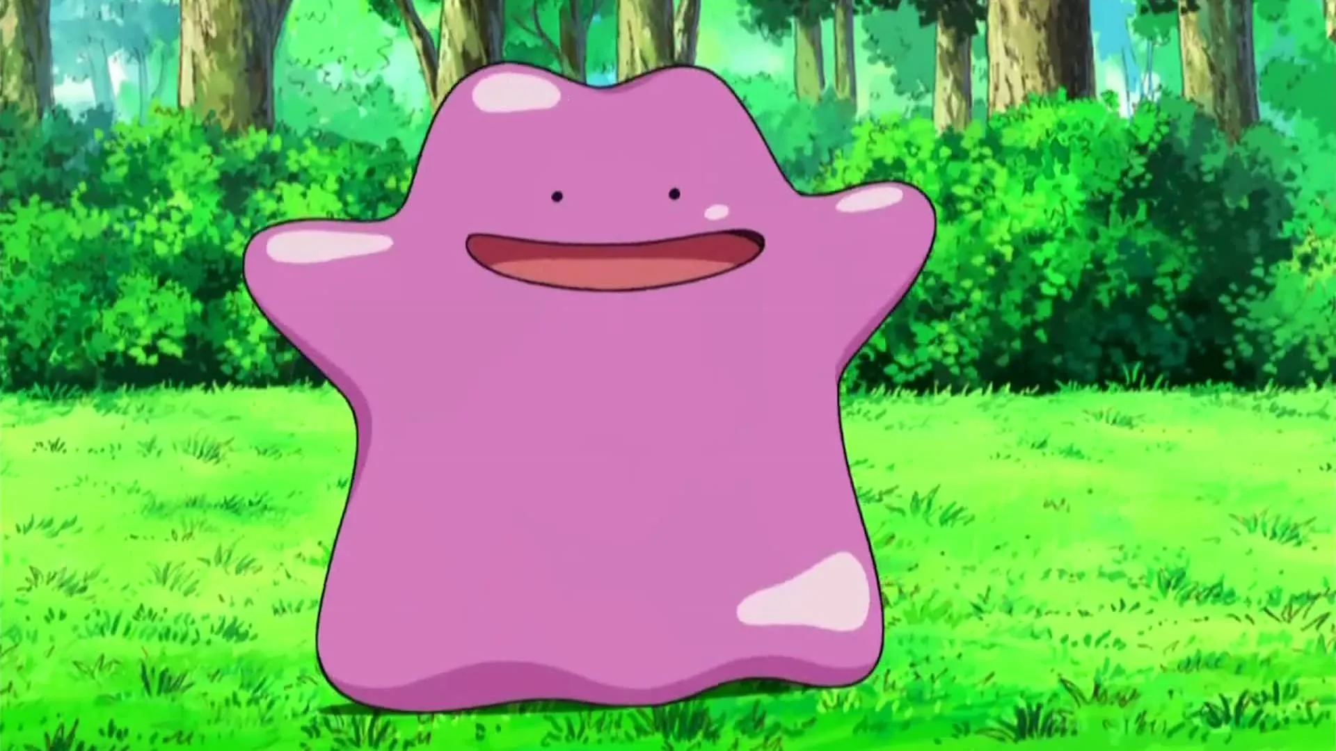 Ditto trong anime Pokémon, với khả năng biến hình độc đáo, trở thành Pokémon đa năng.