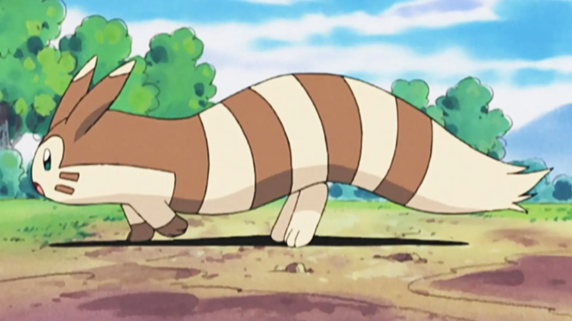 Furret, một Pokémon thân thiện giống chồn sương, di chuyển trong series anime Pokémon.