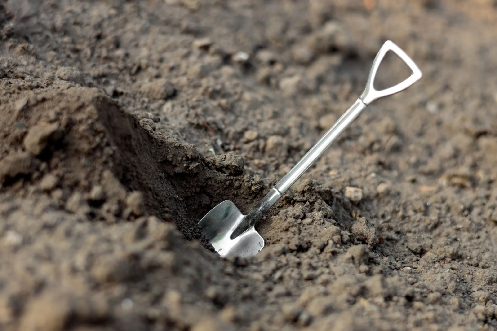 Hình ảnh chiếc xẻng nhỏ cắm trên mặt đất, biểu tượng cho khái niệm &quot;shovelware&quot; (phần mềm rác) trong ngành công nghệ.