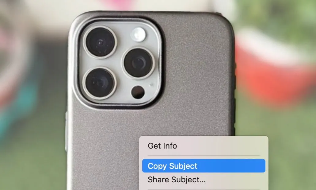Tùy chọn Copy Subject trong ứng dụng Mac Photos để sao chép chủ thể ảnh