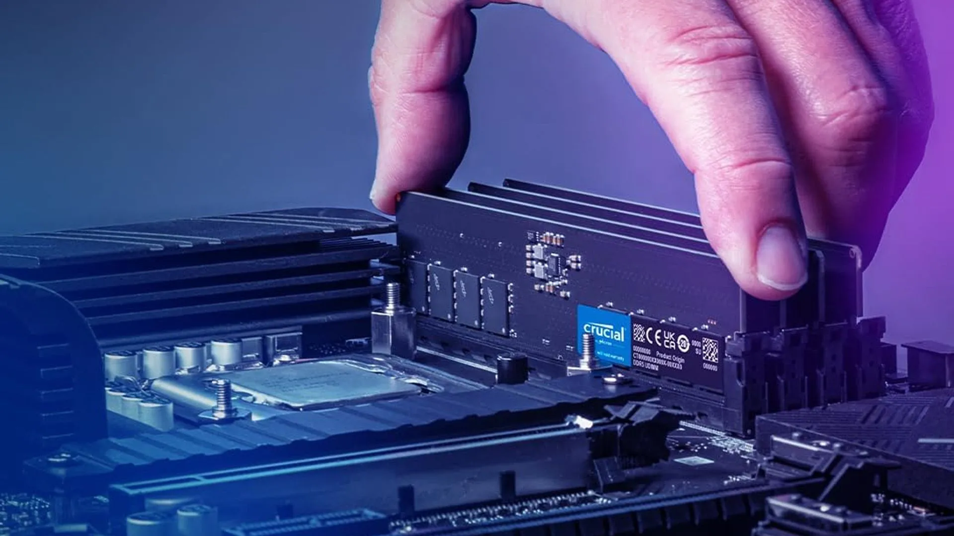 Bàn tay đang lắp đặt bộ RAM Crucial DDR5 vào khe cắm trên bo mạch chủ