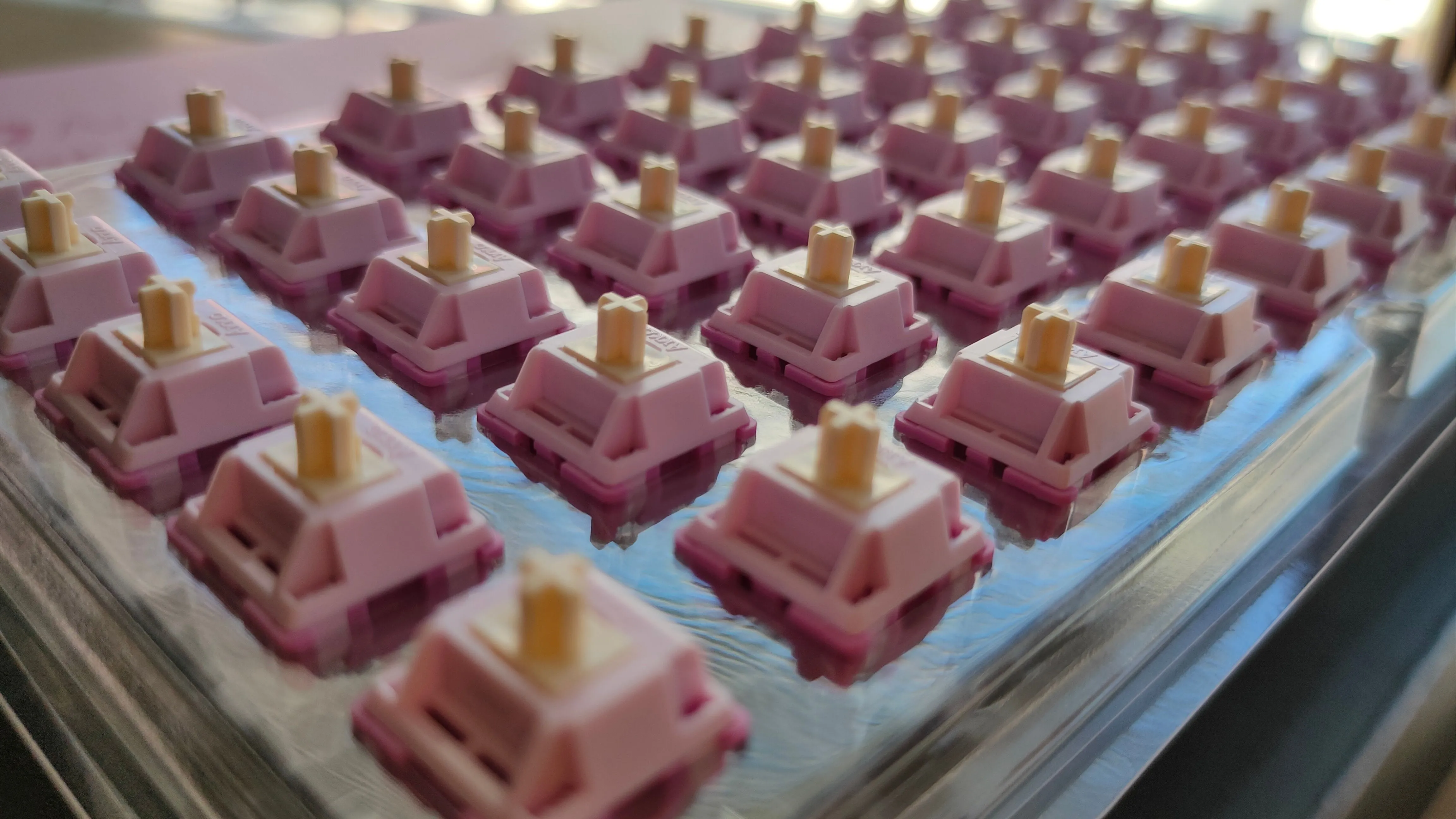 Các switch Akko V3 Creamy Purple Pro trong một khay.
