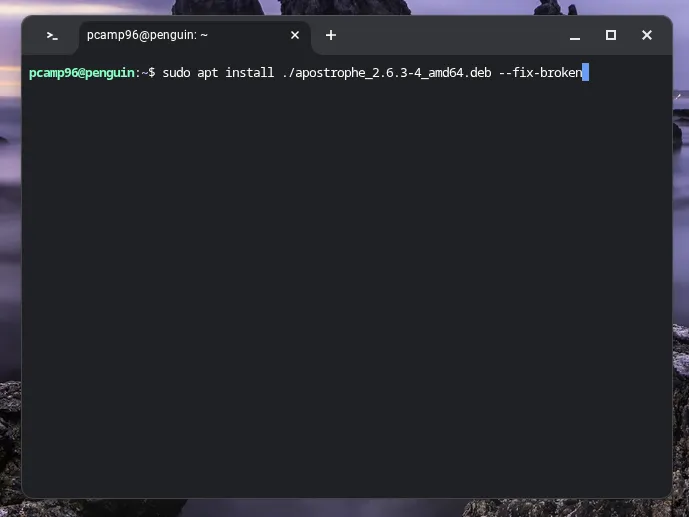 Cài đặt gói .deb bằng lệnh apt trong terminal Linux trên Chromebook