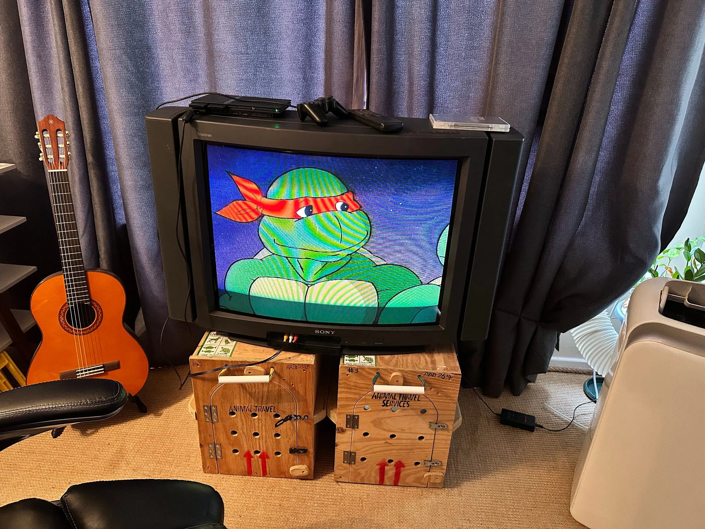 Chiếc TV CRT Sony Trinitron 34 inch của tác giả đang trình chiếu bộ phim hoạt hình Ninja Turtles.