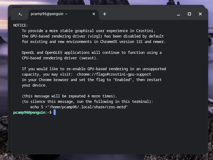 Cửa sổ terminal Linux đã khởi chạy trên giao diện ChromeOS của Chromebook
