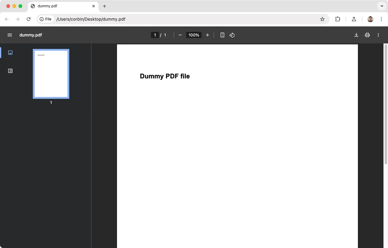 File PDF đang mở trong Google Chrome, thể hiện khả năng xử lý file PDF cục bộ của trình duyệt.