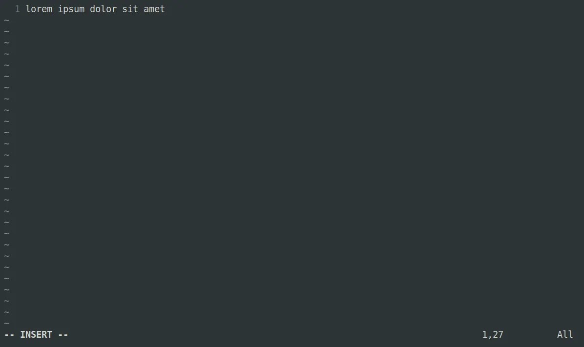 Giao diện tối giản của trình soạn thảo Vim trên Linux, chỉ hiển thị một dòng văn bản và ít thông tin.