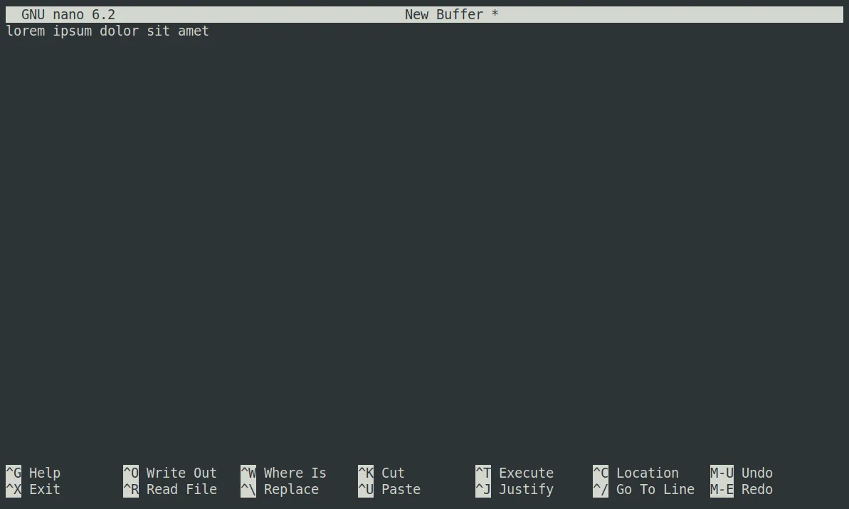 Giao diện trình soạn thảo Nano trên Linux, hiển thị một dòng văn bản và các phím tắt hữu ích ở phía dưới.