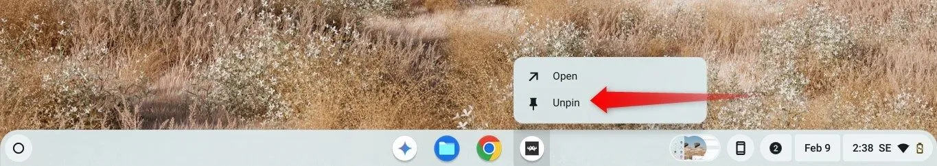 Gỡ một ứng dụng khỏi thanh Shelf của Chromebook khi không cần thiết.