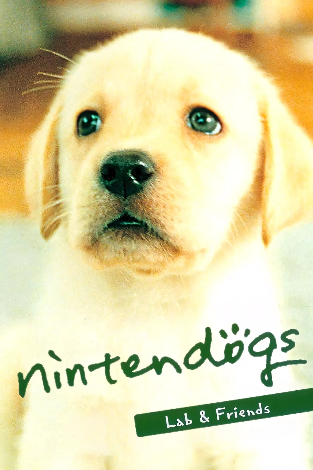 Hình ảnh chú cún dễ thương trong Nintendogs, nổi bật trên màn hình cảm ứng DS