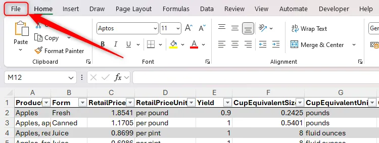 Menu &quot;File&quot; trên thanh Ribbon của Microsoft Excel, nơi truy cập mục &quot;Account&quot; để thay đổi chủ đề Office sang chế độ nền đen.