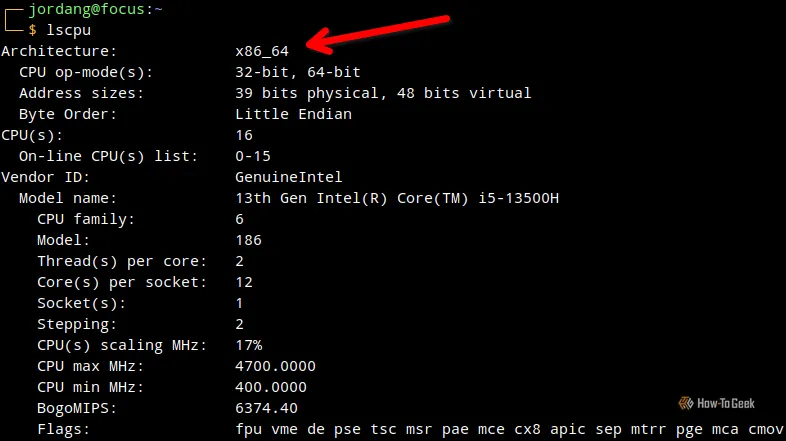 Một terminal Linux với một mũi tên chỉ vào kiến trúc bộ xử lý, được tạo ra bằng lệnh lscpu.
