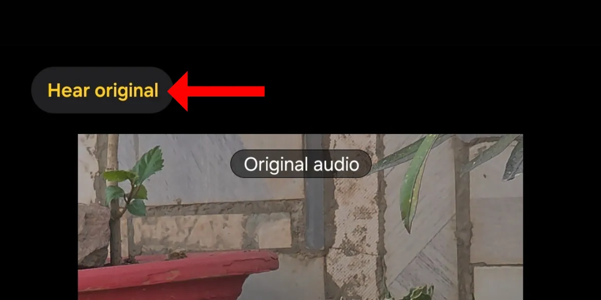Nút Nghe bản gốc để so sánh âm thanh trước và sau khi dùng Audio Eraser trên Galaxy S25.