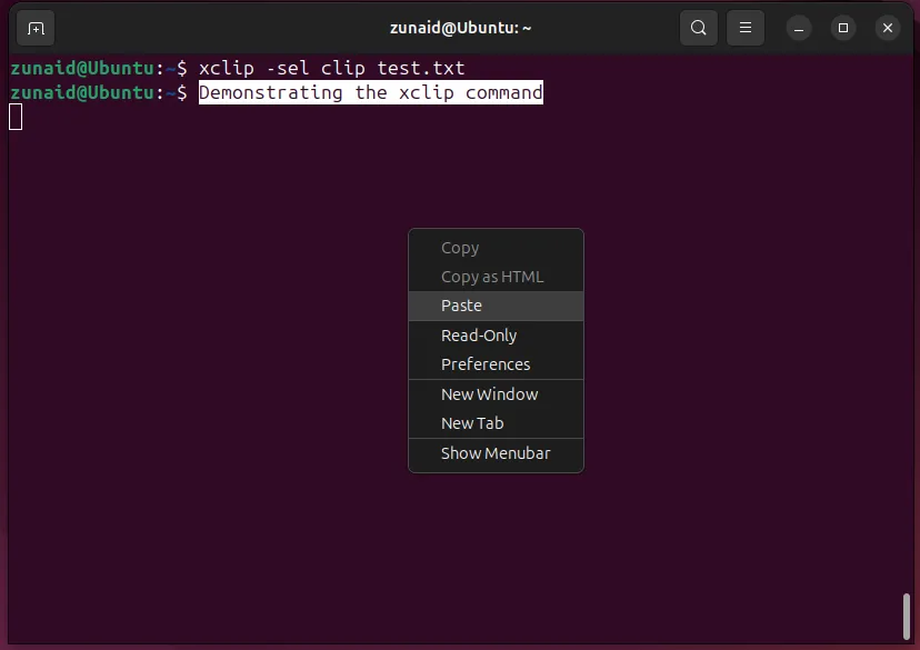 Sao chép nội dung file vào hệ thống clipboard Linux sử dụng tùy chọn -sel clip của xclip.