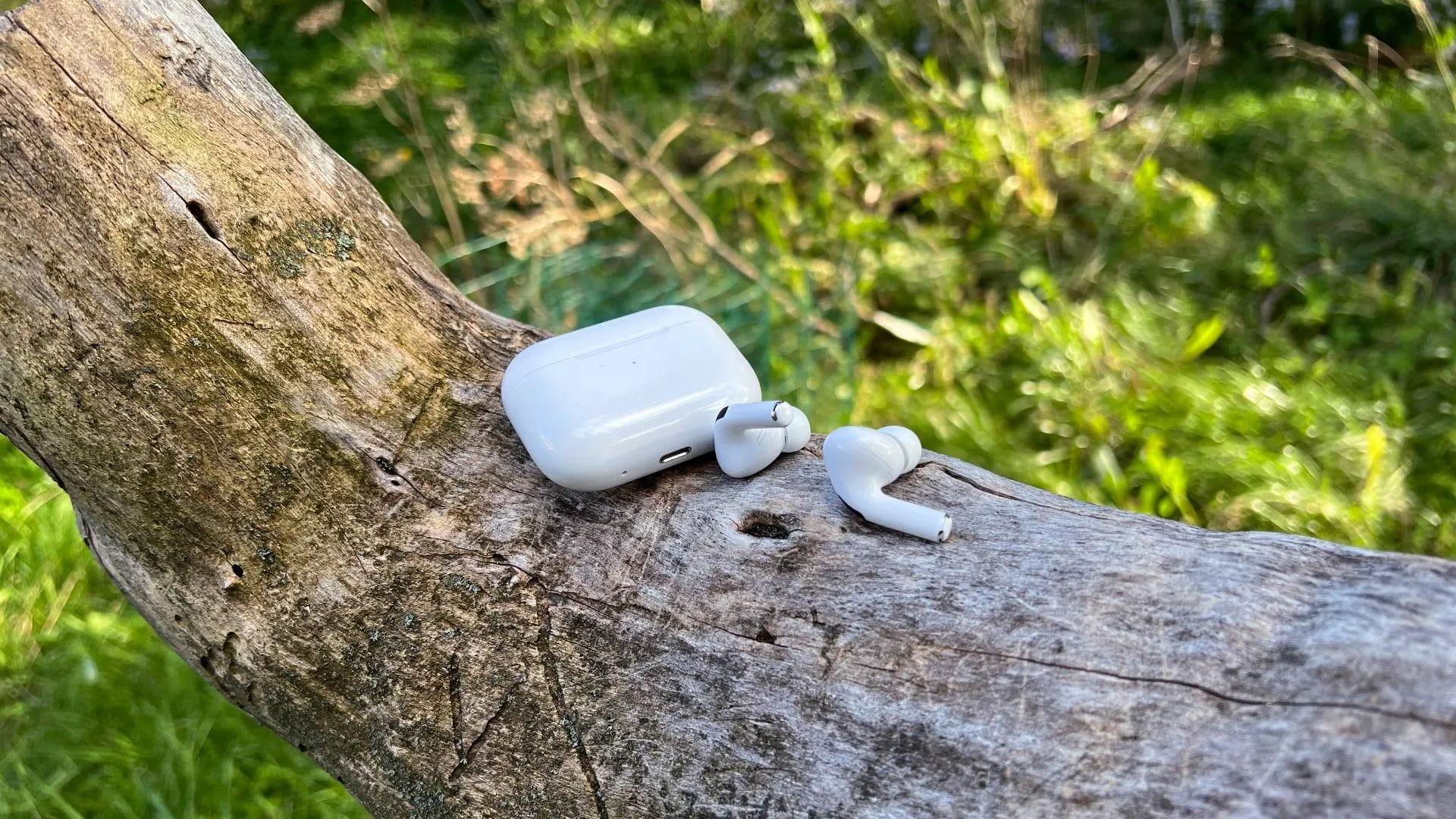 Tai nghe Apple AirPods Pro 2 và hộp sạc đặt trên cành cây, biểu tượng của sự tiện lợi khi làm việc di động