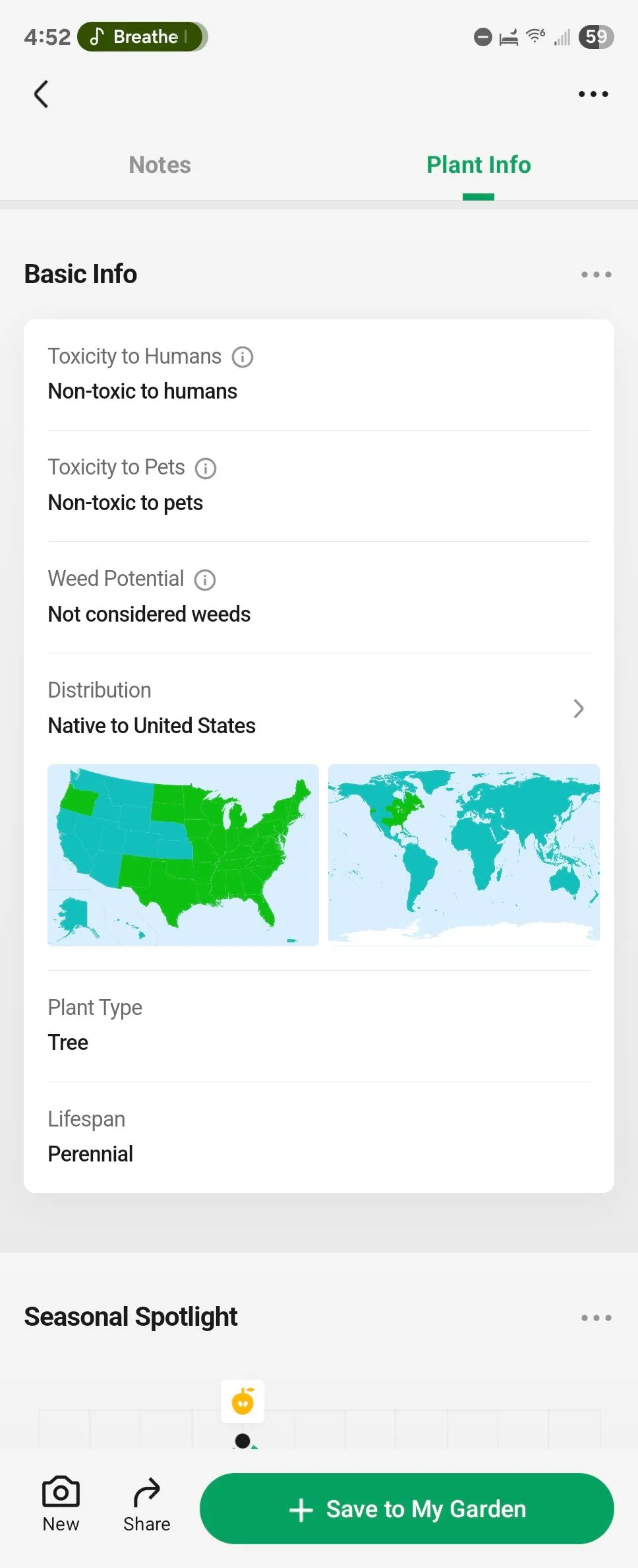 Thông tin cơ bản về một loài thực vật hiển thị trong ứng dụng PictureThis trên Android