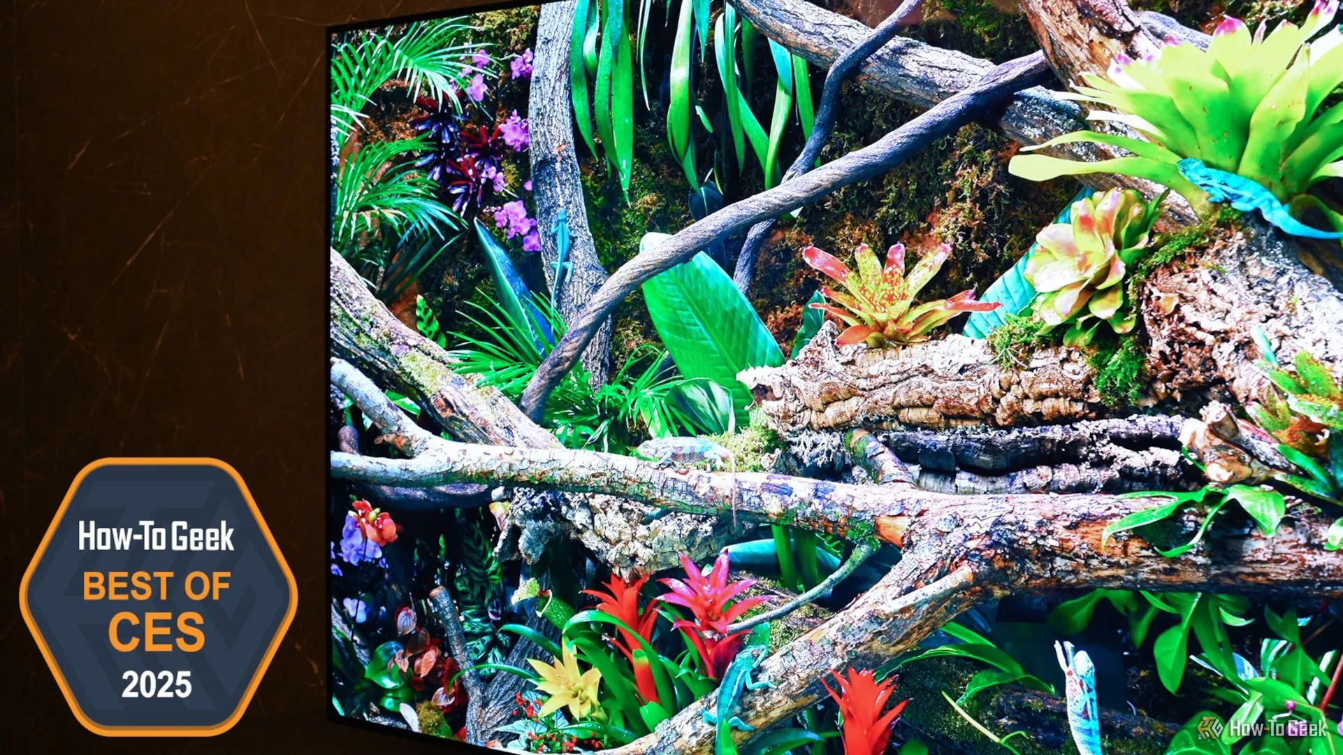 TV Samsung OLED S95F thế hệ mới tại triển lãm CES 2025