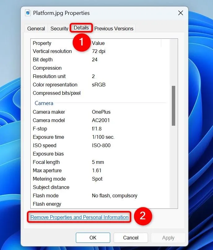 Cửa sổ Properties, tab &quot;Details&quot; với tùy chọn &quot;Remove Properties and Personal Information&quot; được đánh dấu
