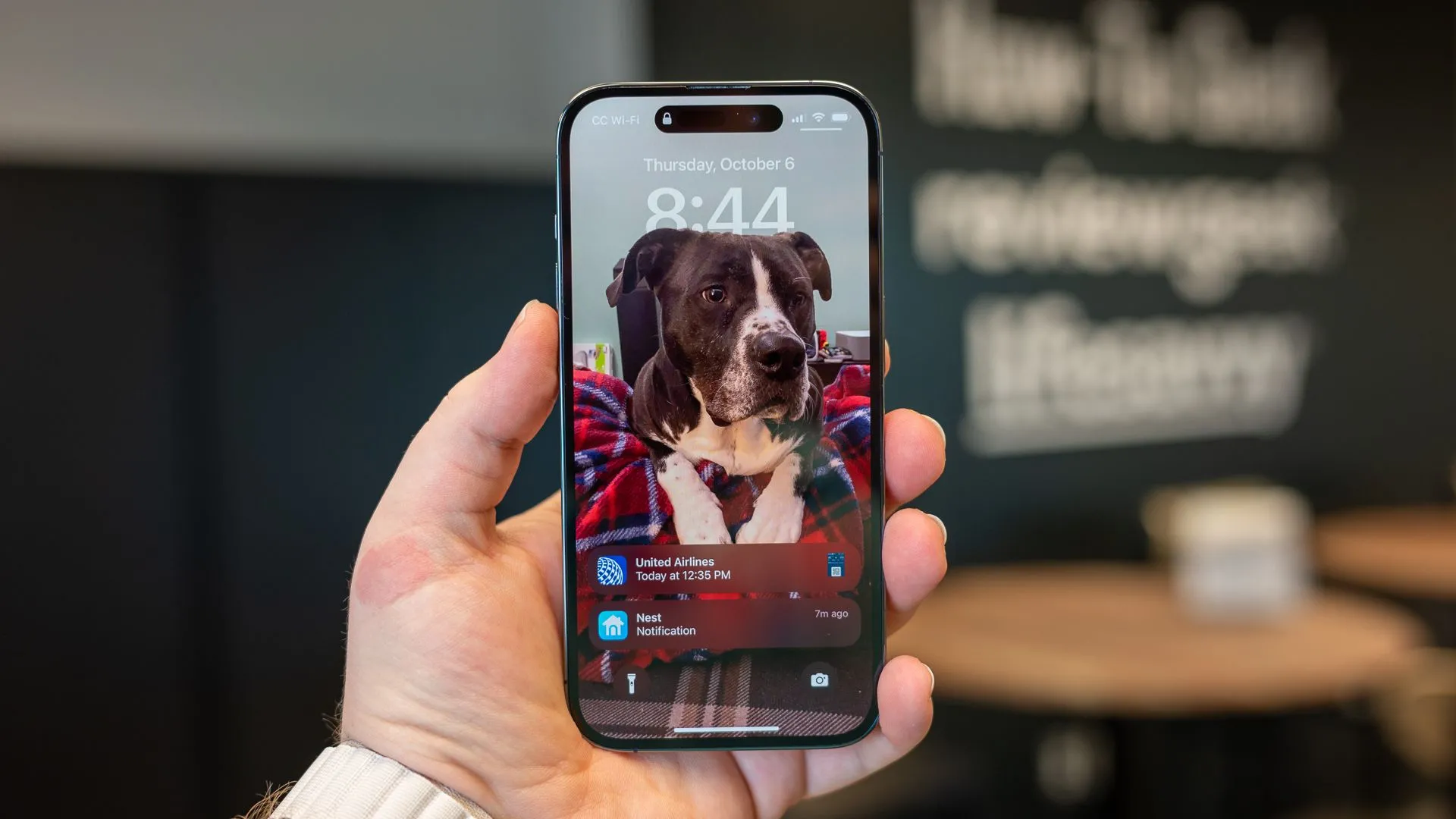 Điện thoại iPhone 14 Pro, minh họa cho việc tắt thông báo ứng dụng để giảm doomscrolling.