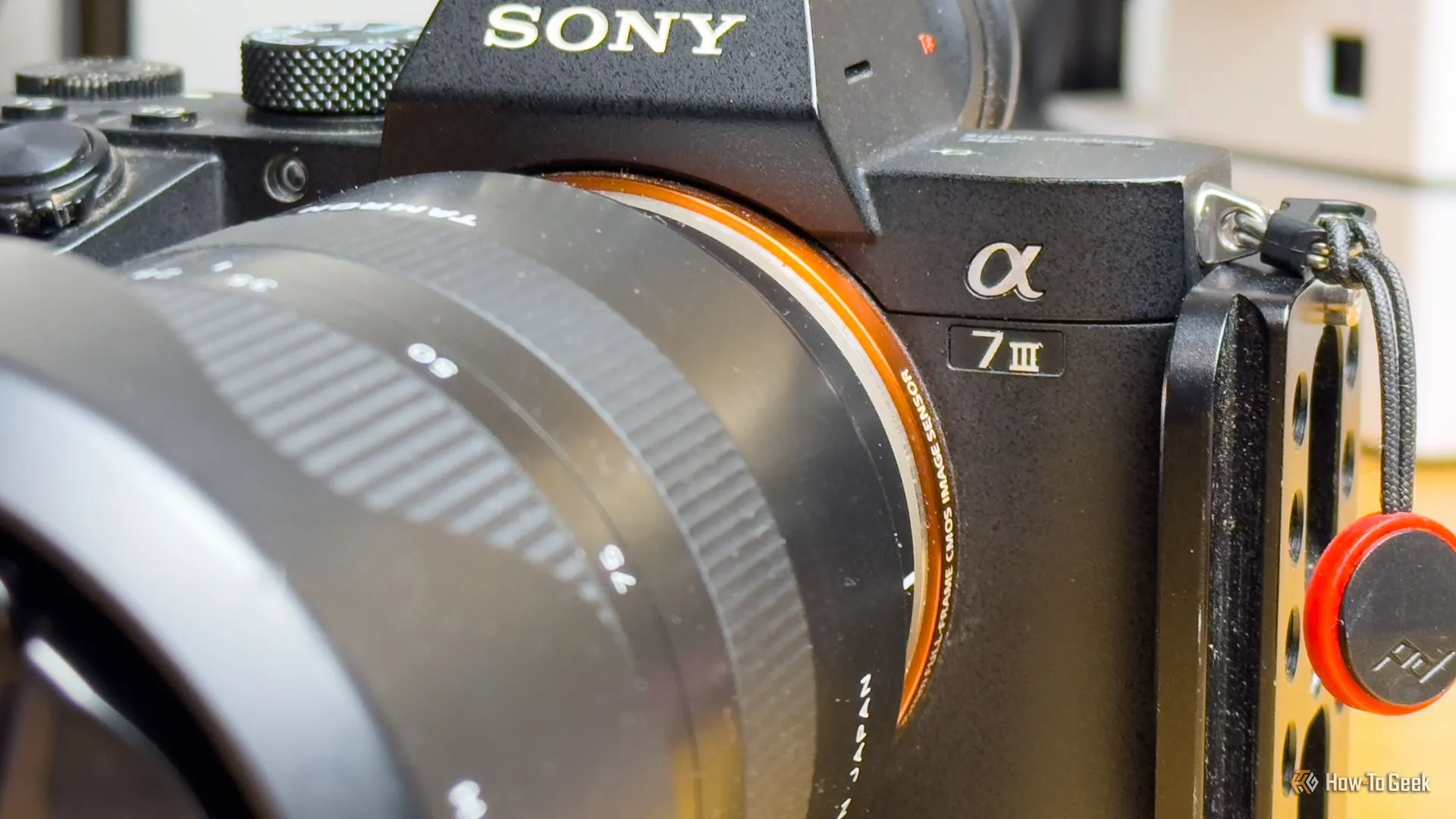 Máy ảnh Sony A7 III mirrorless DSLR, thiết bị cần được sao lưu ảnh an toàn khi du lịch