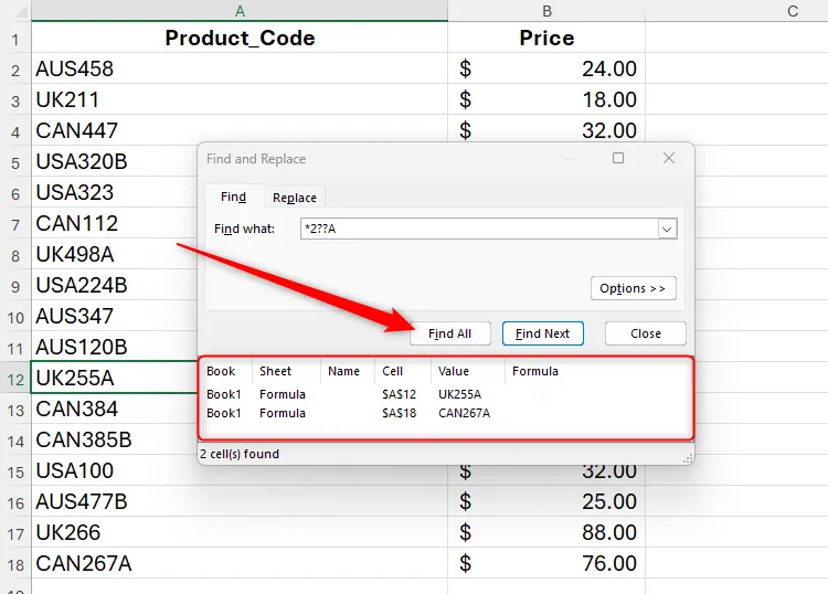 Wildcards being used in Excel